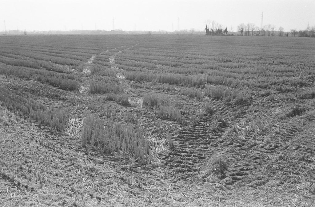 Rurales, photo Domenico Laterza